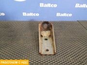 Опора переднего амортизатора